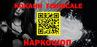 гидра Камышлов