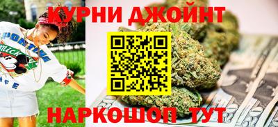 гидра Камышлов