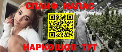 гидра Камышлов