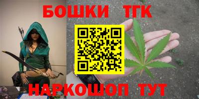 гидра Камышлов