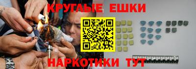 гидра Камышлов