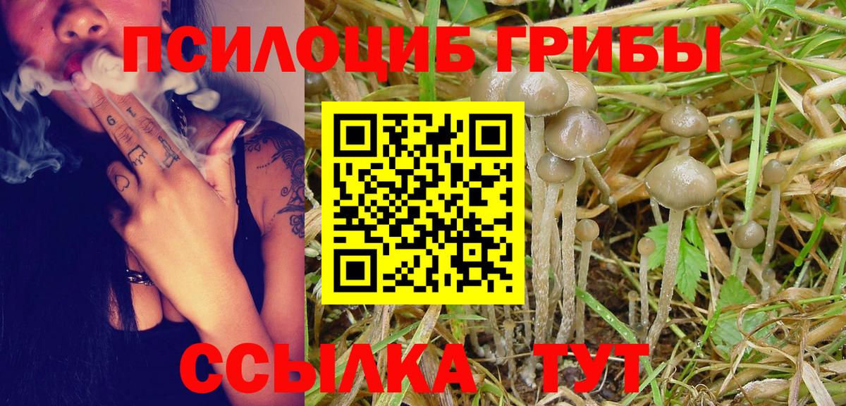 Псилоцибиновые грибы прущие грибы  Вход с VPN  Галлюциногенные грибы прущие грибы  Ялуторовск 